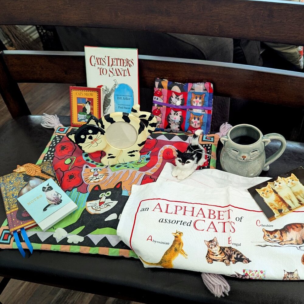 Crazy Cat Lady Box
